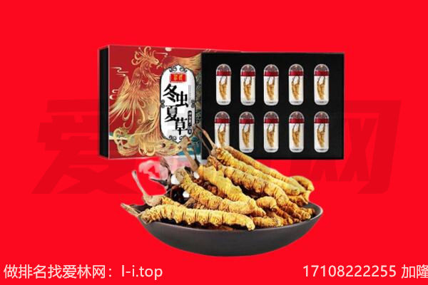 鄂尔多斯伊金霍洛旗回收虫草.jpg